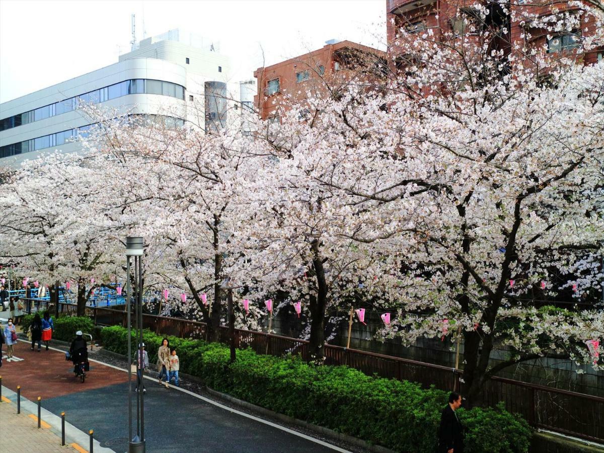 Coto Shibuya 6 *